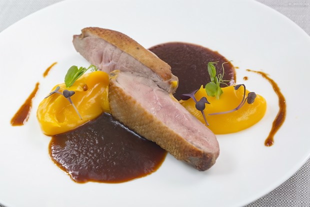 Утиная грудка с тыквенным пюре и соусом мадера