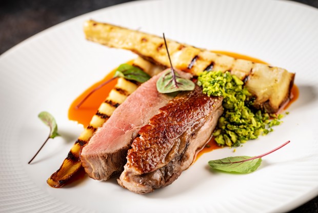 Утиное филе с пастернаком в морковно-апельсиновом соусе