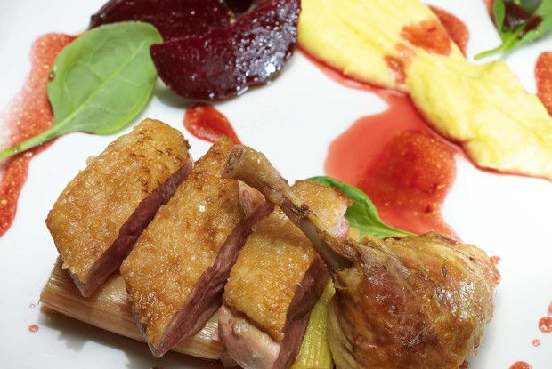 Утка с ревенем, печеной свеклой и картофельным пюре