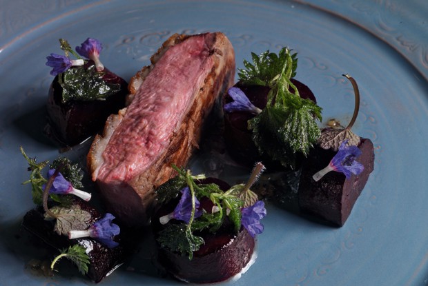 Утка со свеклой и крапивой