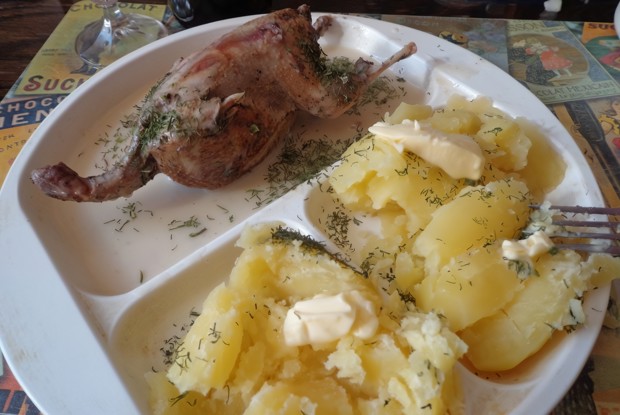 Вальдшнеп весенний