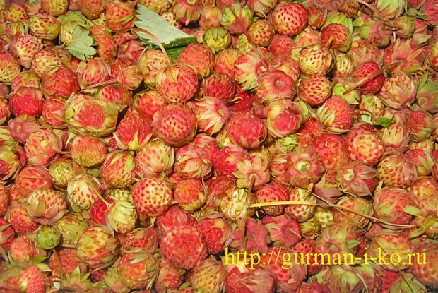 Варенье из луговой клубники