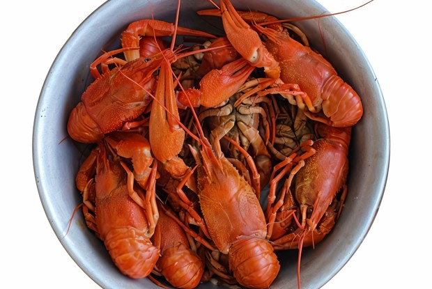 Вареные раки с укропом и морковью