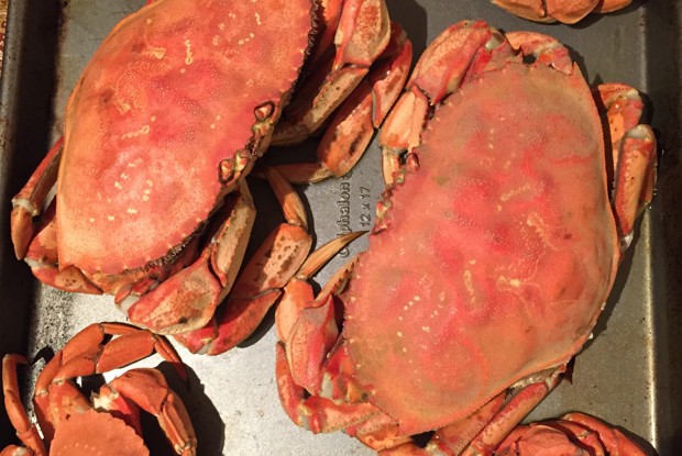Вареный краб