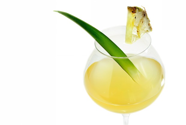 Викторианский молочный пунш