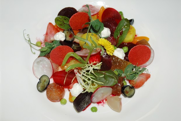 Винегрет с чипсами из томатов и ежевики