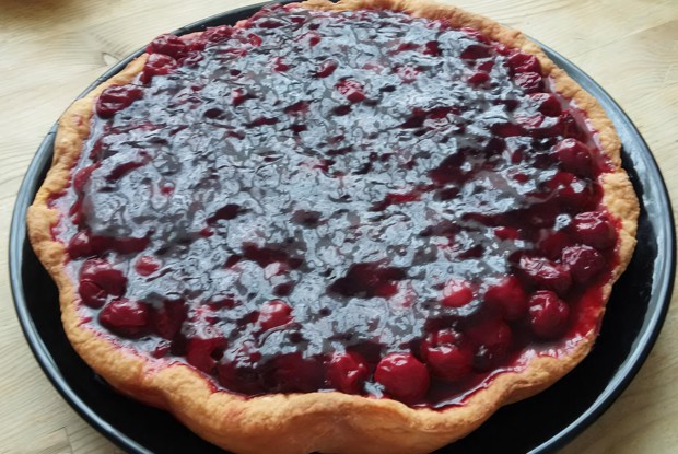 Вишневый пирог на творожном тесте
