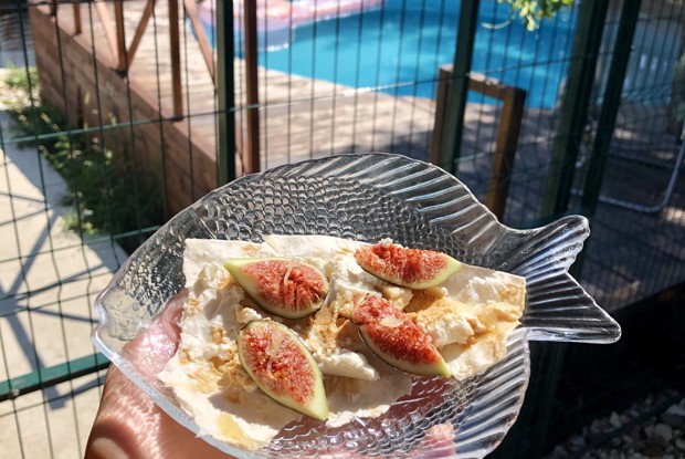 Врап с горгонзолой и инжиром