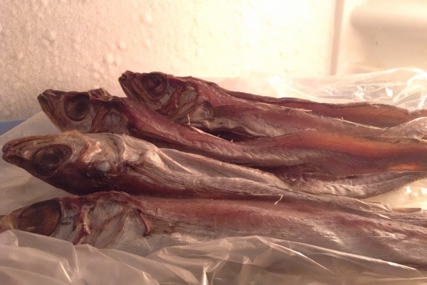 Вяленая рыба (путассу)