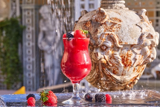 Ягодный лимонад