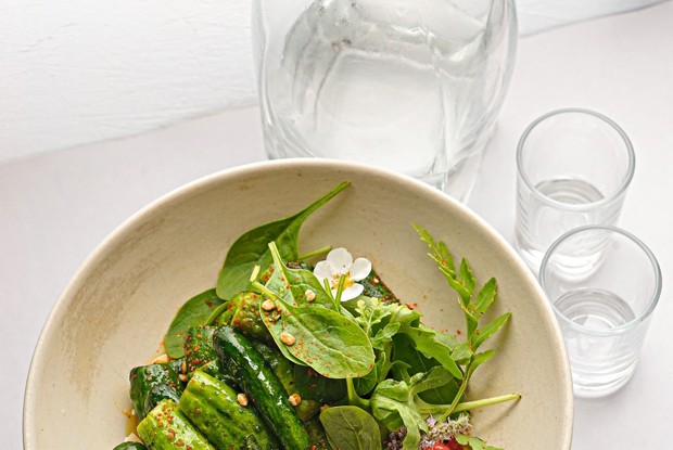 Яснополянские огурчики по-старотульски с имбирем и квашеной смородиной