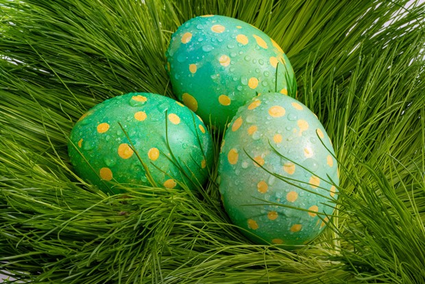 Яйца в горошек