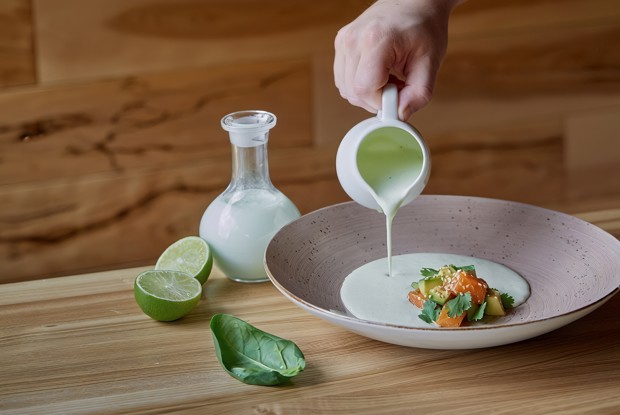 Йогуртовый суп с авокадо и севиче из лосося