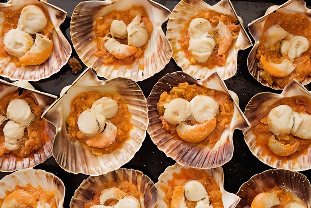 Закуска из гребешков в ракушках под сырной корочкой