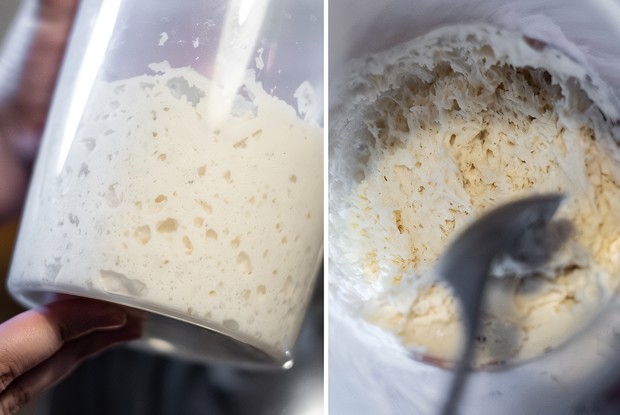 Закваска левито мадре