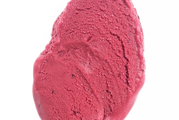 Замороженный черничный йогурт