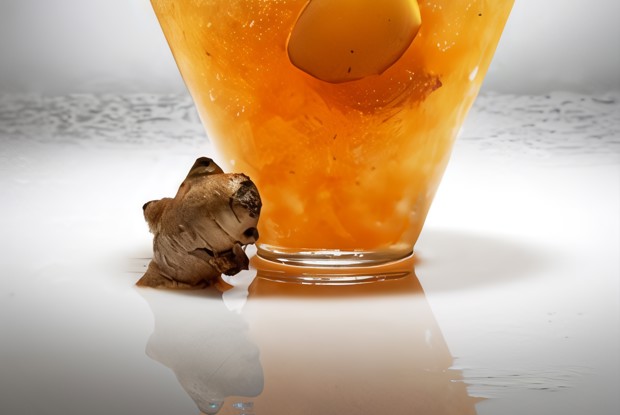 Замороженный имбирный лимонад