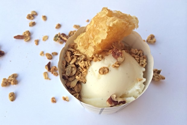 Замороженный йогурт с ванилью и медом