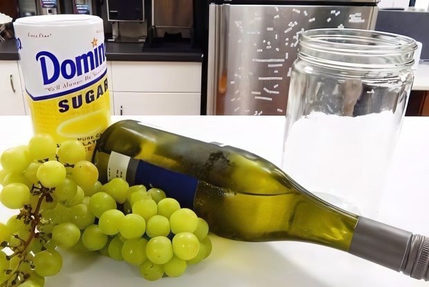 Замороженный «пьяный виноград»