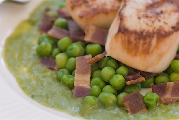 Зеленый горошек с панчеттой и луком-шалотом