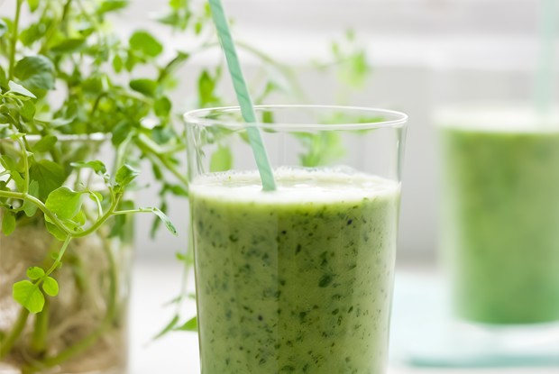 Зеленый ласси