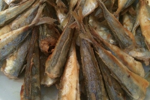 Жареная ставрида