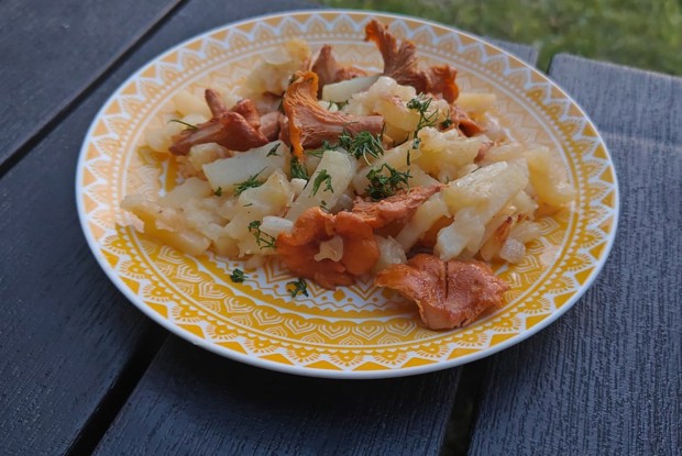 Жареная картошка с лисичками