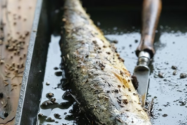 Жареная  скумбрия с пряностями