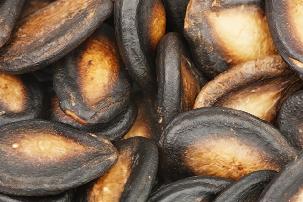 Жареные острые тыквенные семечки с солью и чесноком