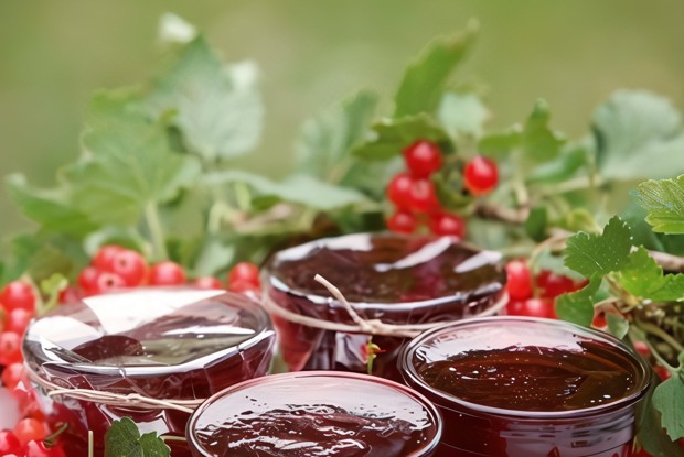 Желе из красной смородины