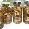 Фотография рецепта Маринованные грибы на зиму автор ABSSPB