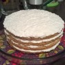 Фотография рецепта Нежный кокосовый торт со сметанным кремом автор ЕКАТЕРИНА КИСЕЛЬНИКОВА