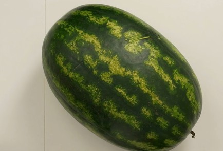 Фото шага рецепта Арбузный мед 137117 шаг 1  