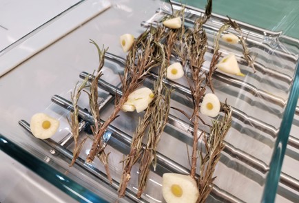 Фото шага рецепта Ароматная утиная грудка с розмарином и помидорами 140866 шаг 7