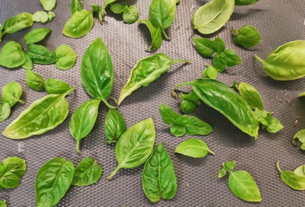 Фото шага рецепта Ароматный витаминный салат с базиликом 151288 шаг 10  