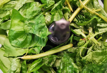 Фото шага рецепта Базиликовый соуснамазка на сливочном масле 151759 шаг 3  