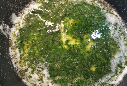 Фото шага рецепта Белковый скрэмбл со шпинатом 151995 шаг 5  