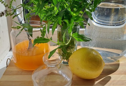 Фото шага рецепта Безалкогольный мохито с медом 186841 шаг 1  