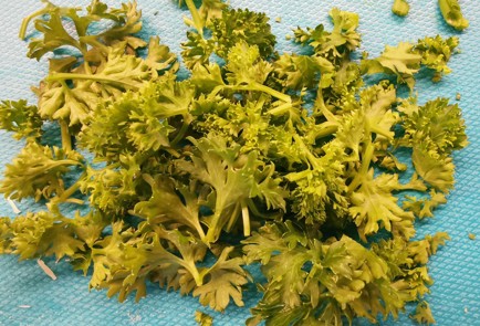 Фото шага рецепта Блины с сыром и зеленью 175594 шаг 9  