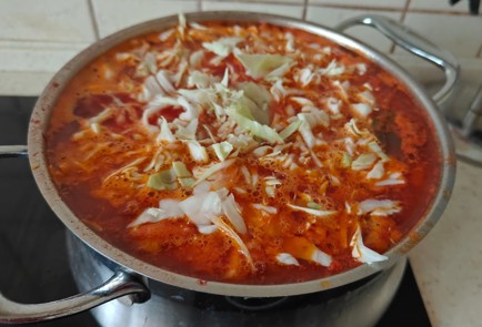 Фото шага рецепта Борщ из лосятины 189369 шаг 13  