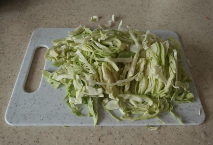 Фото шага рецепта Борщ с молодой капустой и домашним томатным соком 186378 шаг 12  