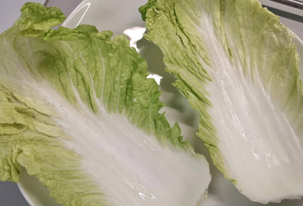 Фото шага рецепта Брускетта из пекинской капусты с паштетом 151954 шаг 1  