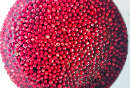 Фото шага рецепта Брусничный соус к мясу 190339 шаг 1  