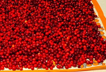 Фото шага рецепта Брусничный соус к мясу 190339 шаг 3  