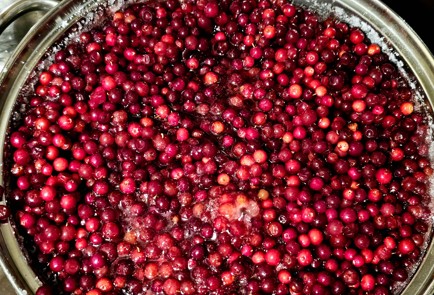 Фото шага рецепта Брусничный соус к мясу 190339 шаг 6  