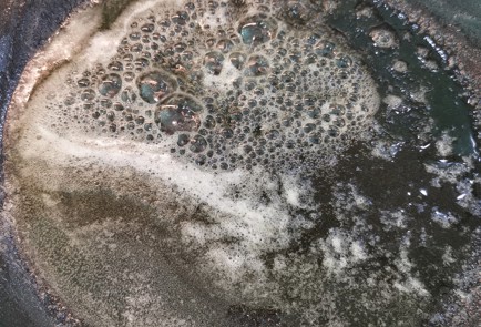 Фото шага рецепта Брюссельская капуста со сливками и сыром 152512 шаг 2