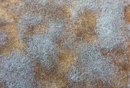 Фото шага рецепта Булочки с корицей 174352 шаг 15  