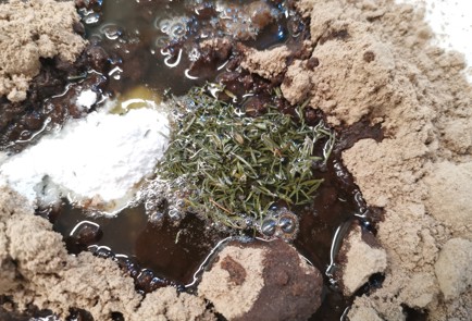 Фото шага рецепта Булочки с сыром 190715 шаг 4  