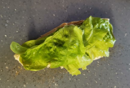 Фото шага рецепта Бутерброд с авокадо 189303 шаг 6  