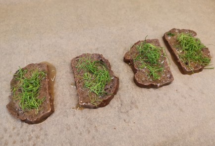 Фото шага рецепта Бутерброд с сыром 190529 шаг 7  